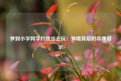 梦到小学同学约我出去玩:梦境背后的命理启示