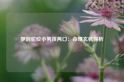 梦到蛇咬小男孩两口:命理玄机探析