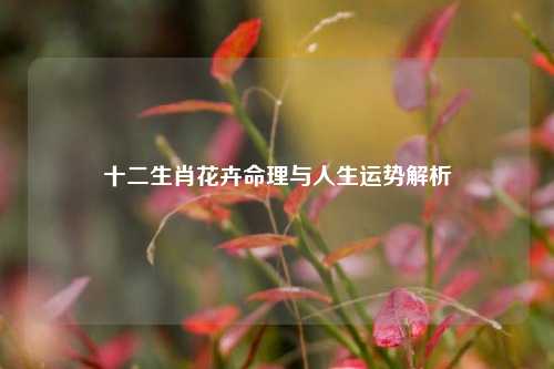 十二生肖花卉命理与人生运势解析