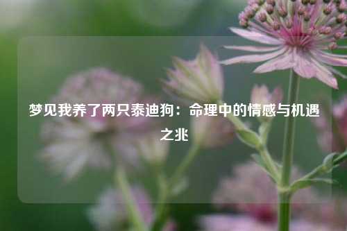 梦见我养了两只泰迪狗：命理中的情感与机遇之兆