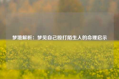 梦境解析：梦见自己殴打陌生人的命理启示